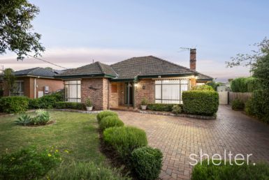 Real Estate Agents Ashwood